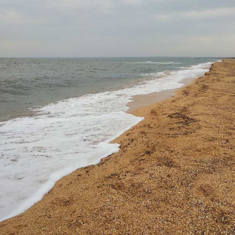 Берег Азовкого моря в Крыму фото